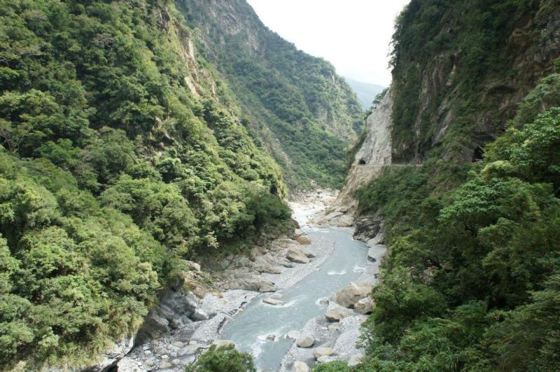 虫虫助手下载
